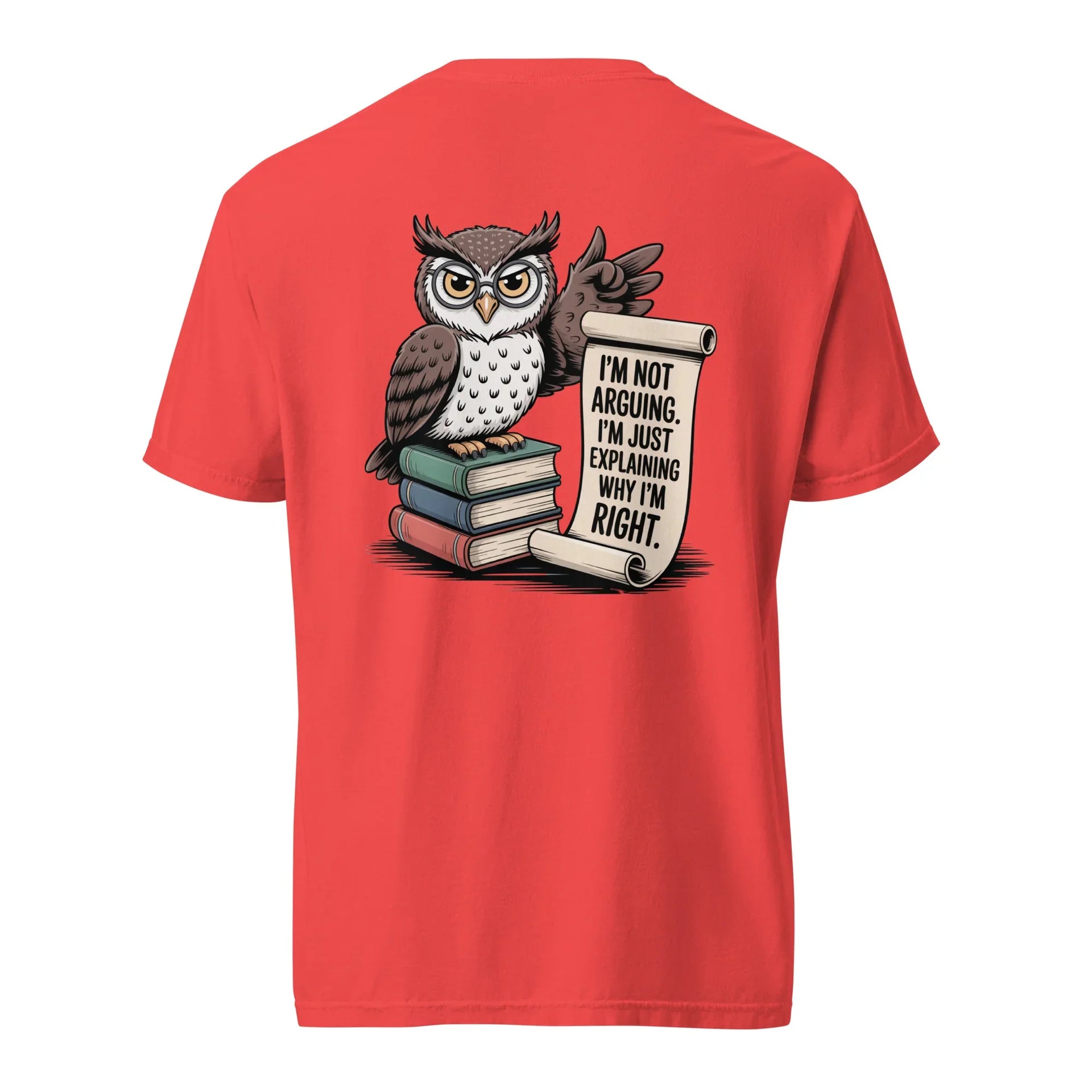 'I'm Not Arguing' Owl Tee - Briadanna