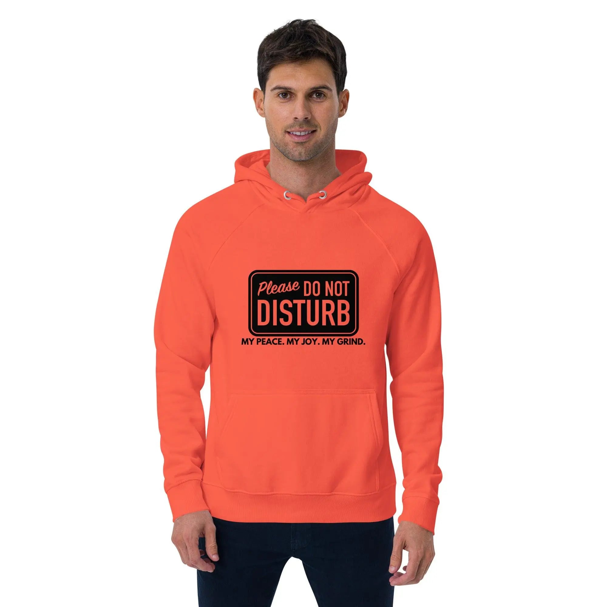 "Do Not Disturb" Raglan Hoodie - Briadanna