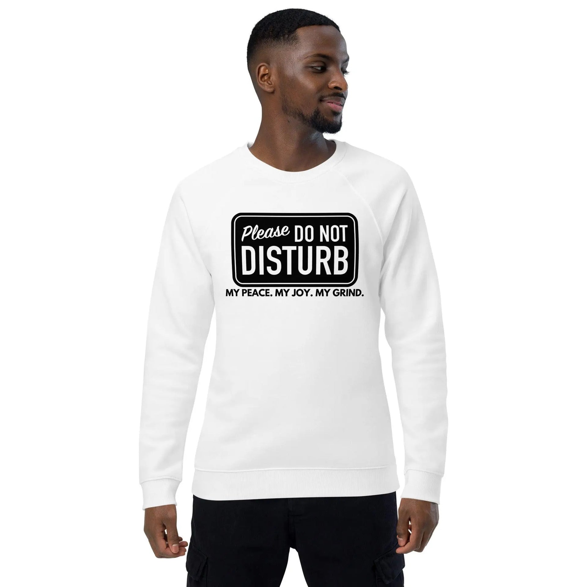 Do Not Disturb Raglan Sweatshirt - Briadanna