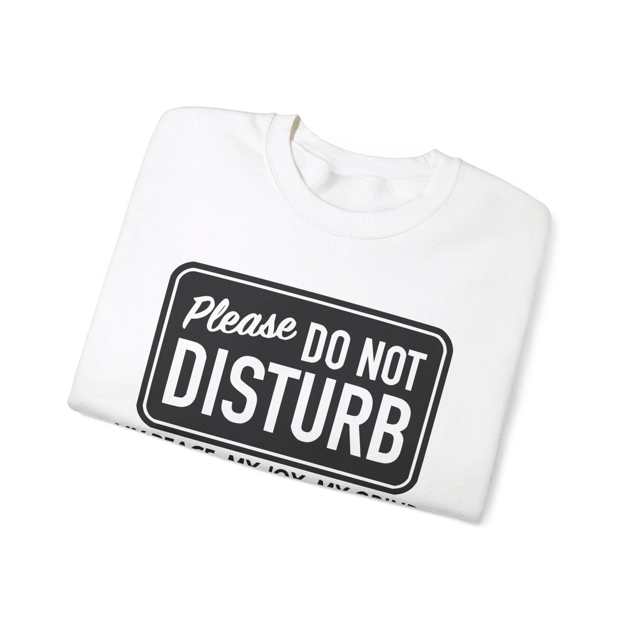 "Do Not Disturb" Sweatshirt - Briadanna