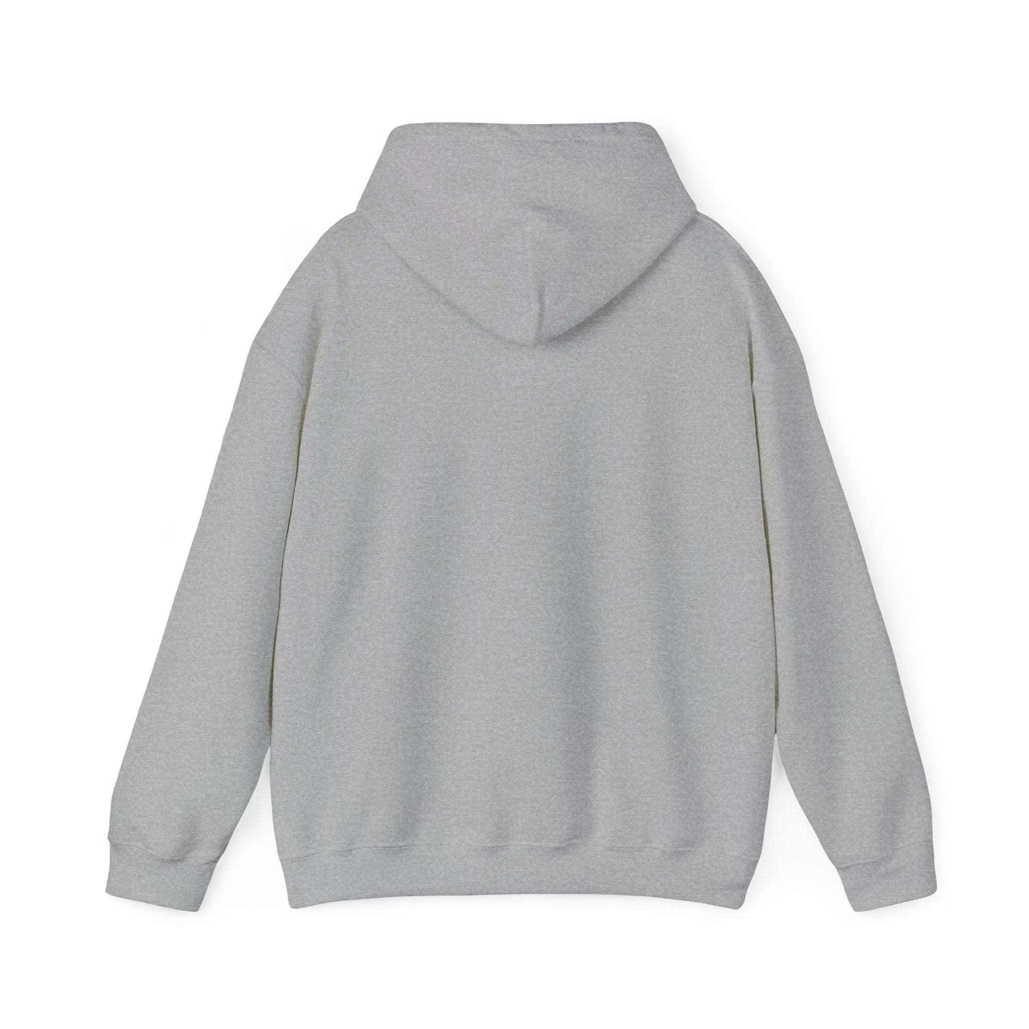 "Everyday Money" Hooded Sweatshirt - Briadanna