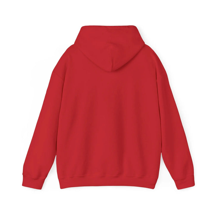 "Everyday Money" Hooded Sweatshirt - Briadanna