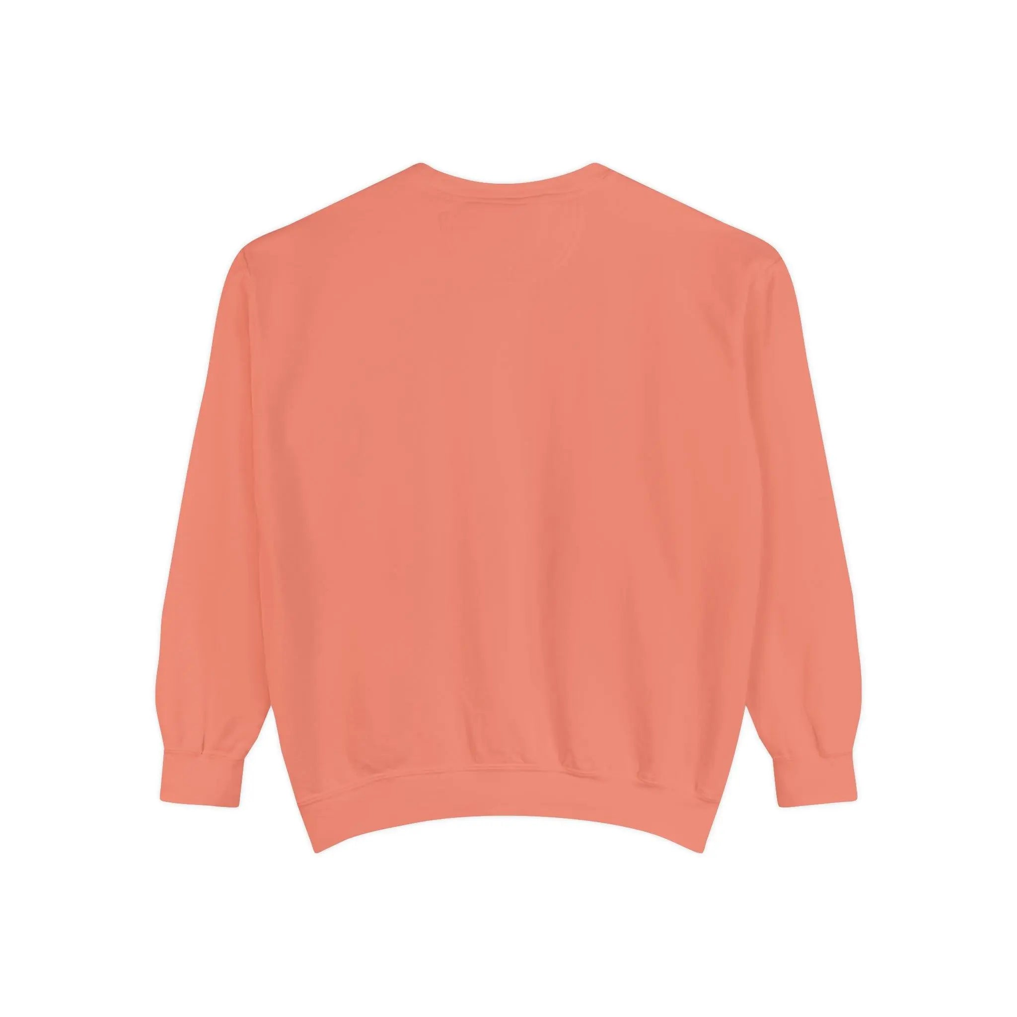 Setting A Goal Sweatshirt - Briadanna