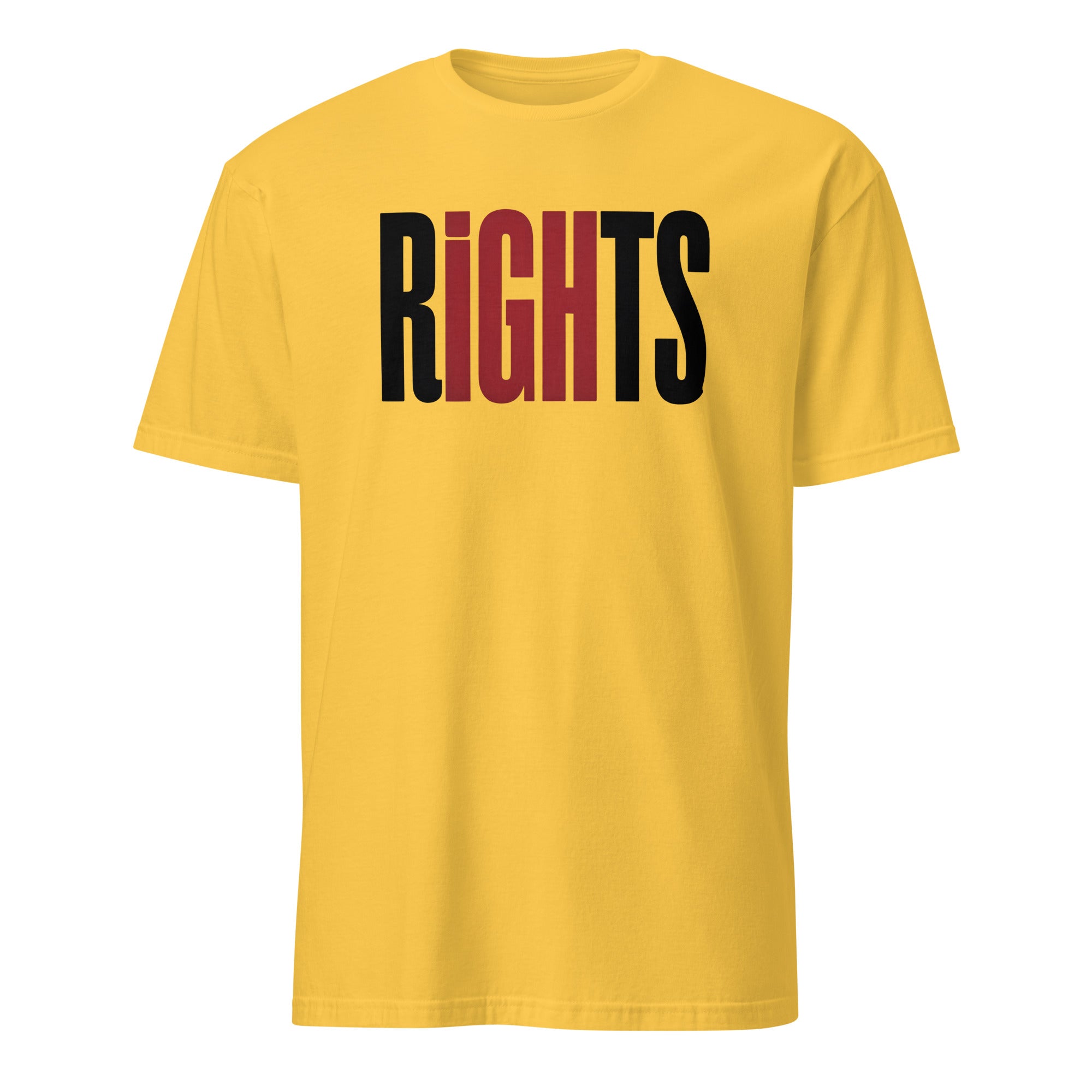 Rights Affirmation T-Shirt - Briadanna