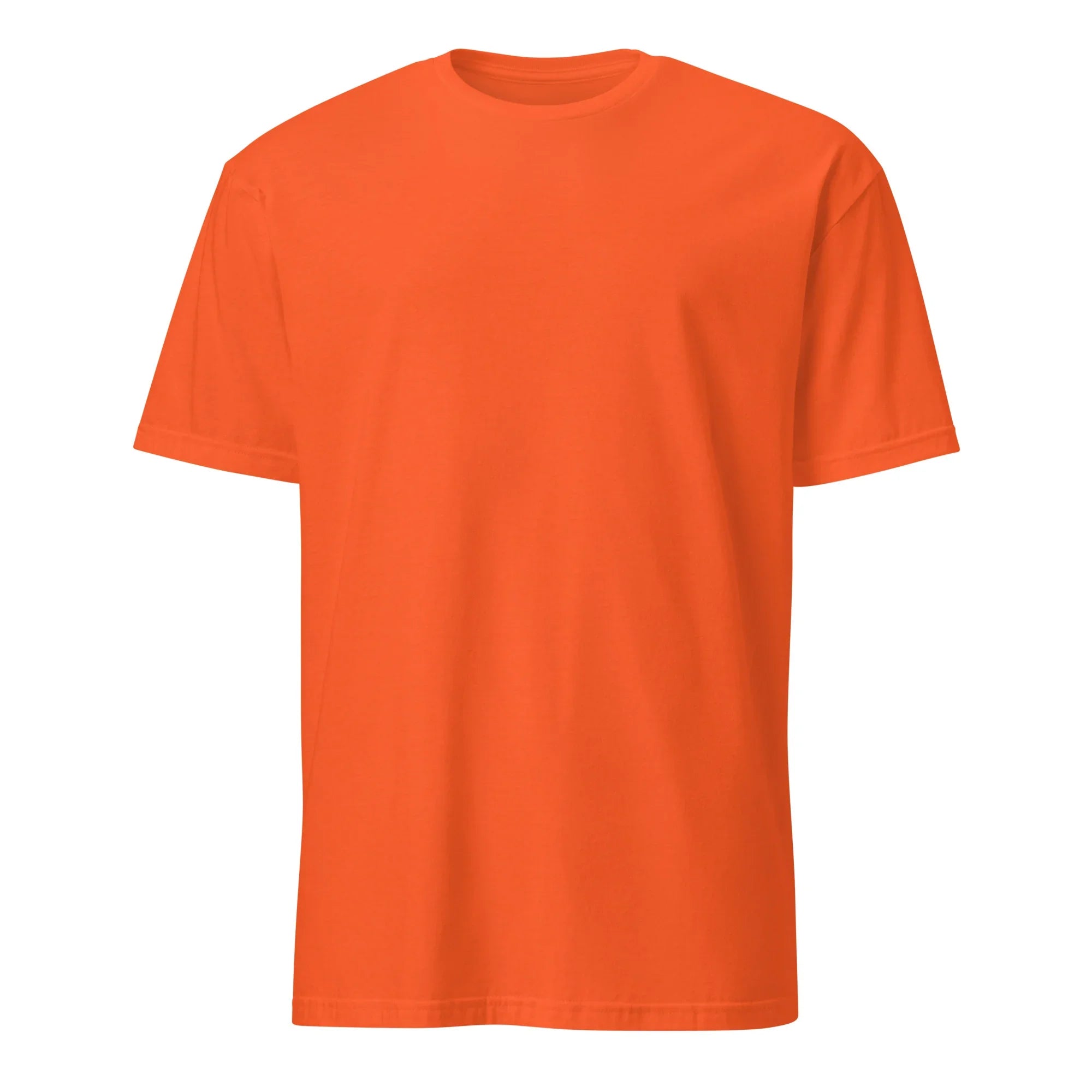 Funny Parenting Humor Tee - Briadanna
