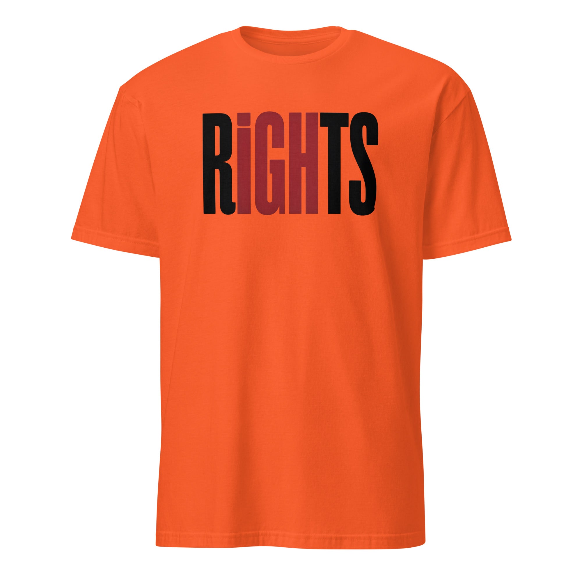 Rights Affirmation T-Shirt - Briadanna