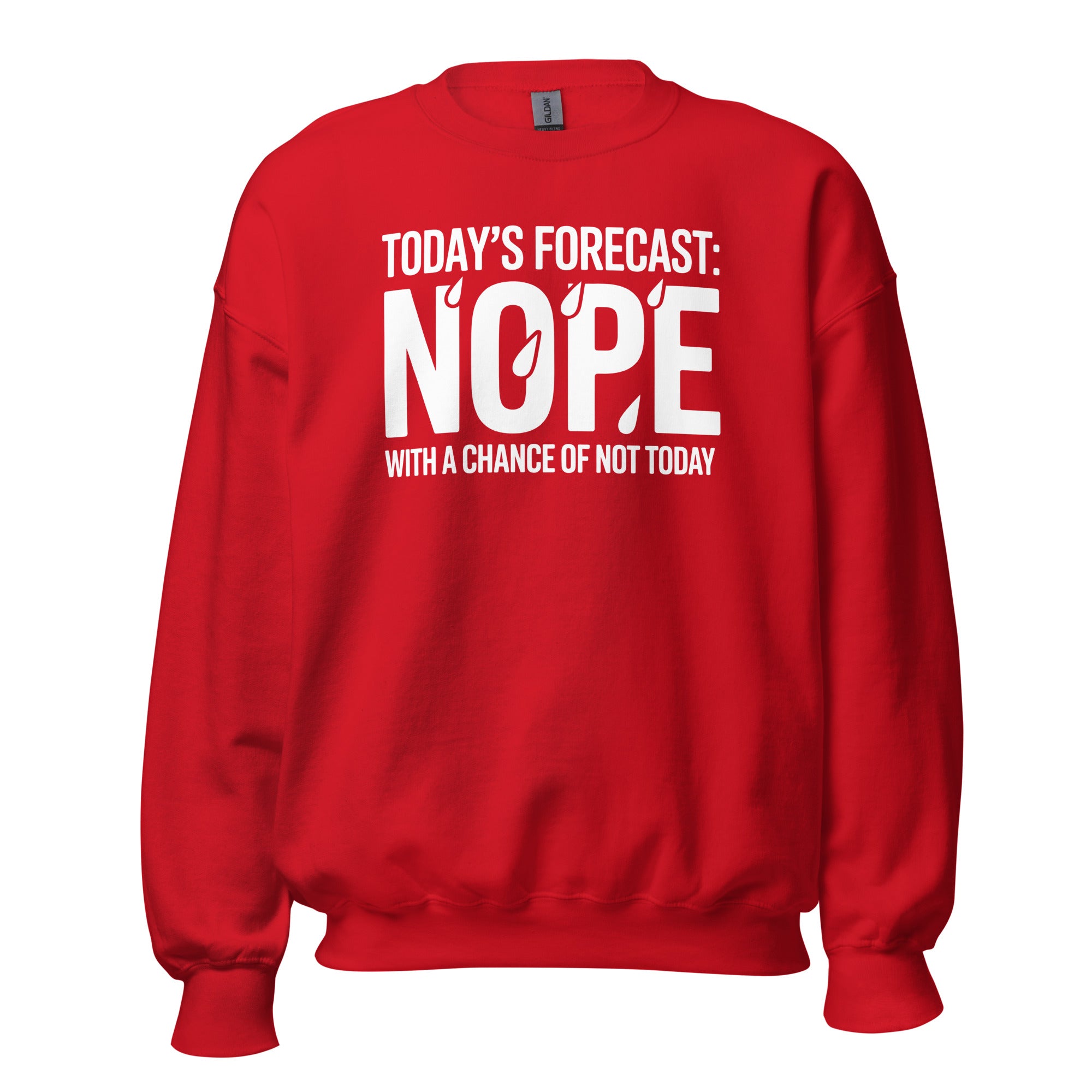 Unisex Sweatshirt - Briadanna