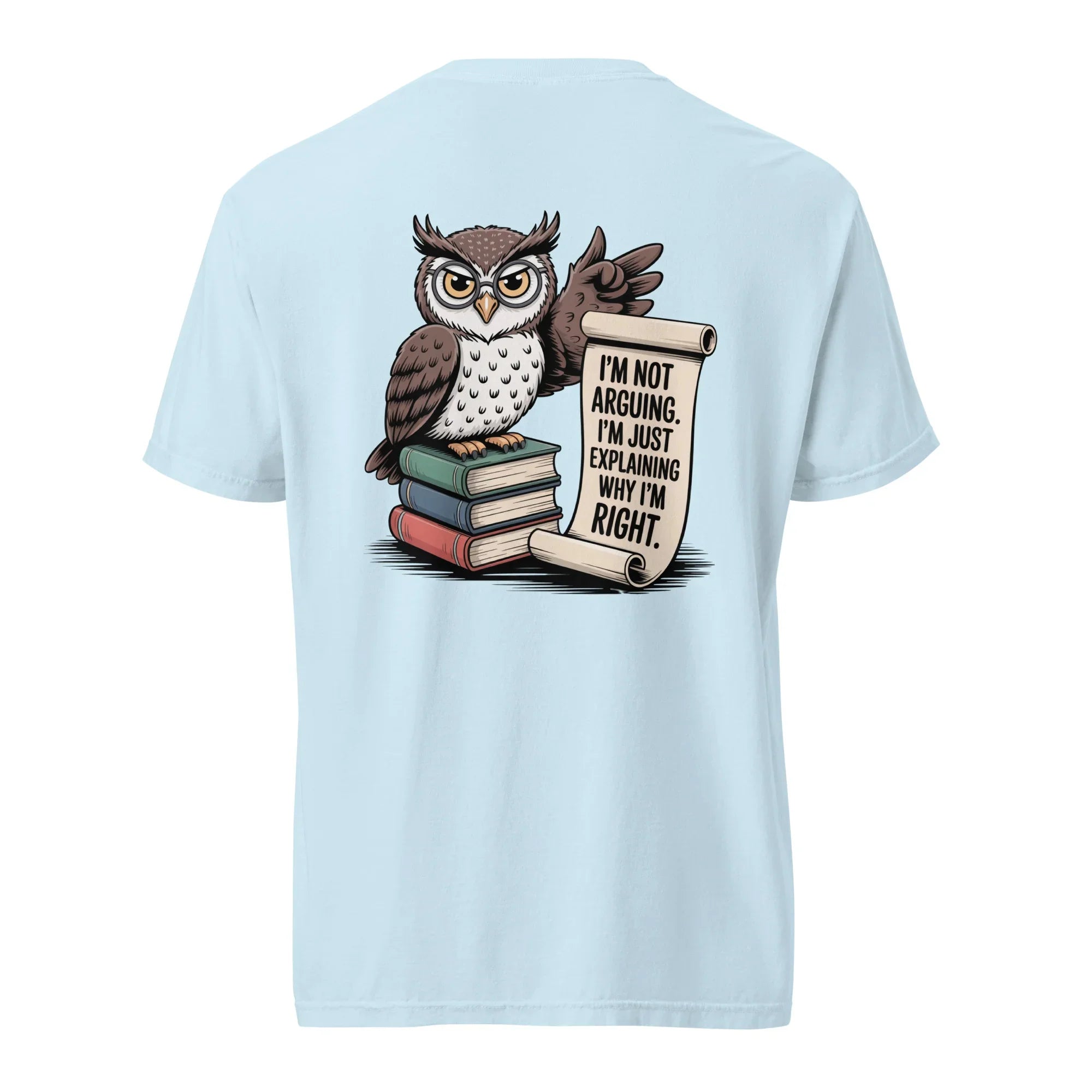 'I'm Not Arguing' Owl Tee - Briadanna
