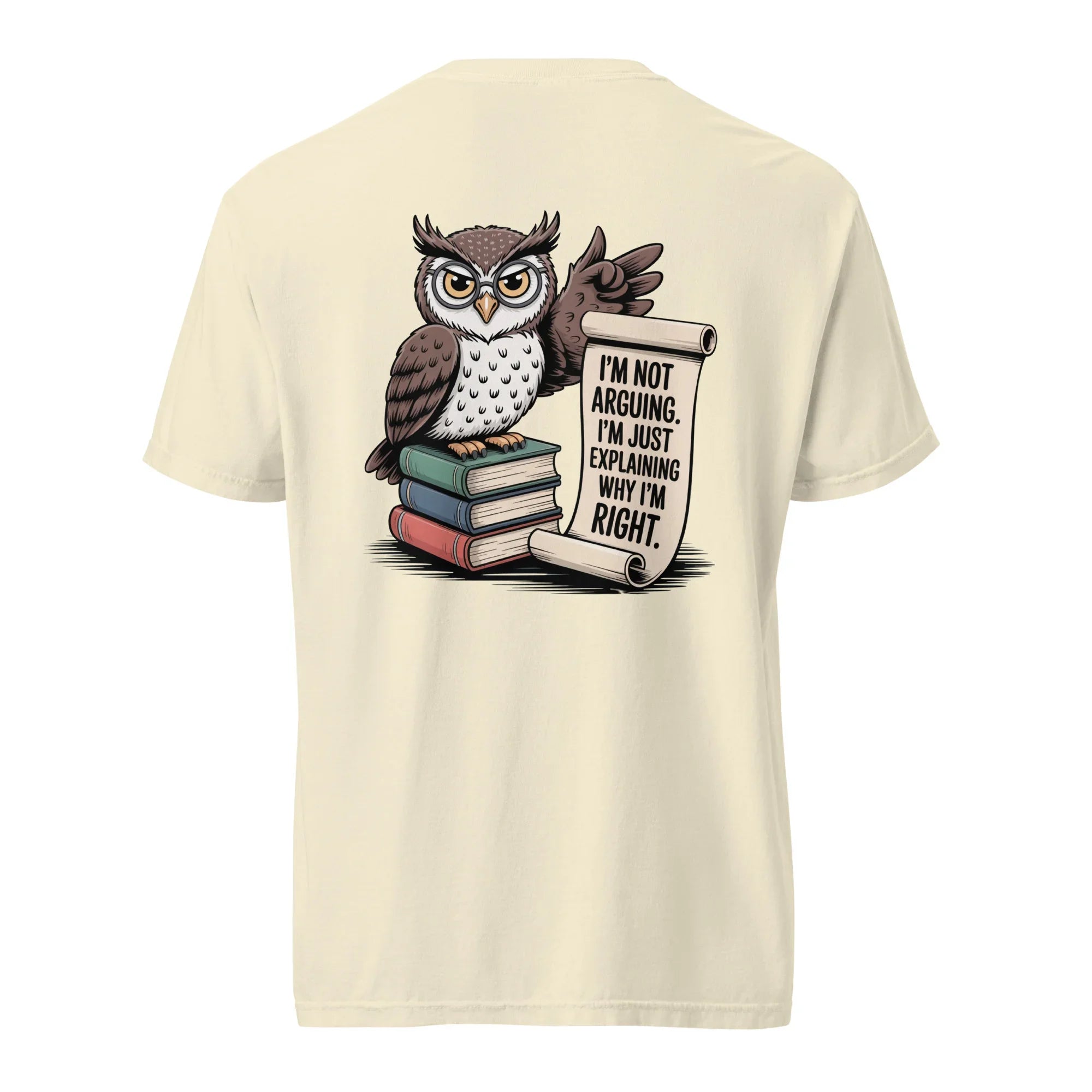 'I'm Not Arguing' Owl Tee - Briadanna