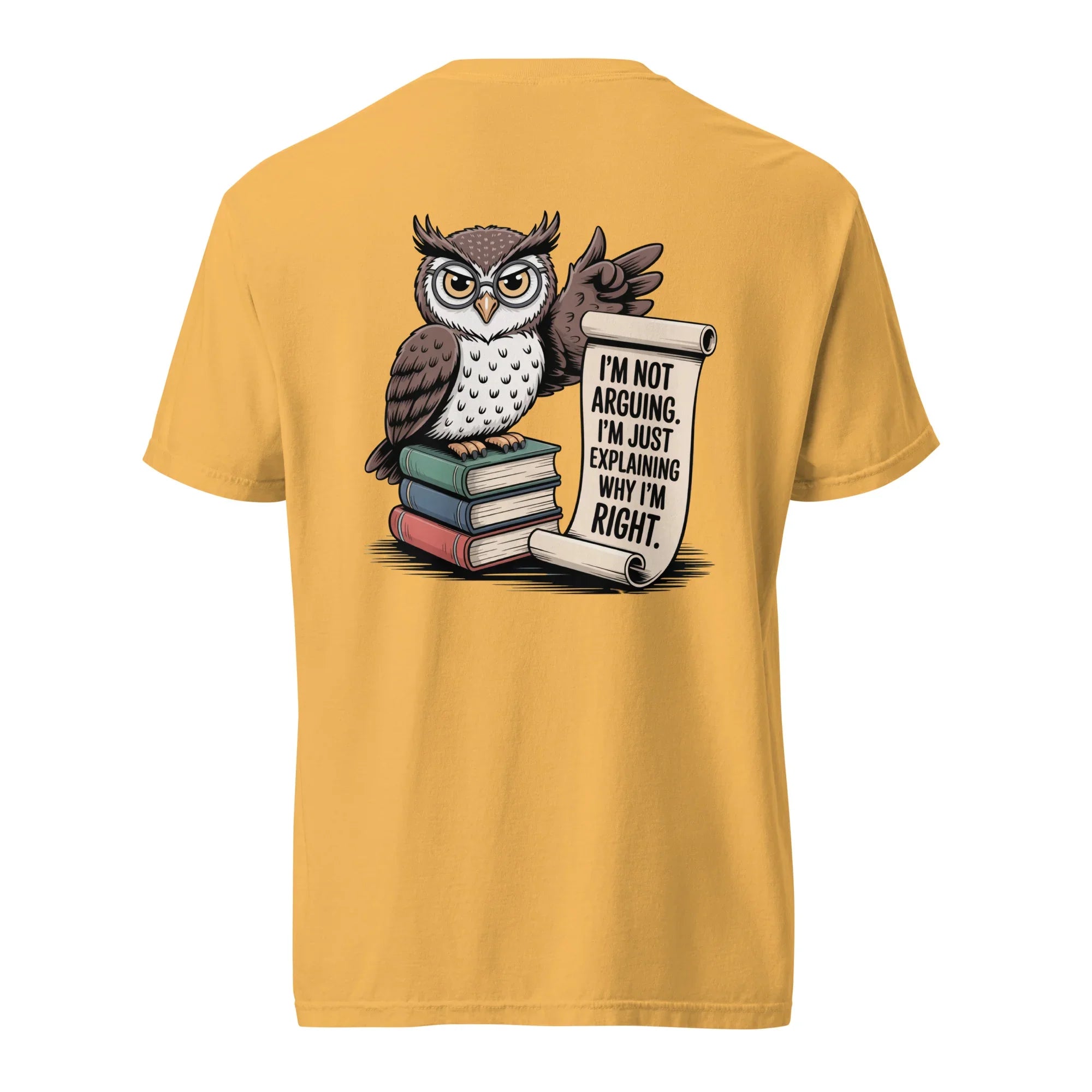 'I'm Not Arguing' Owl Tee - Briadanna