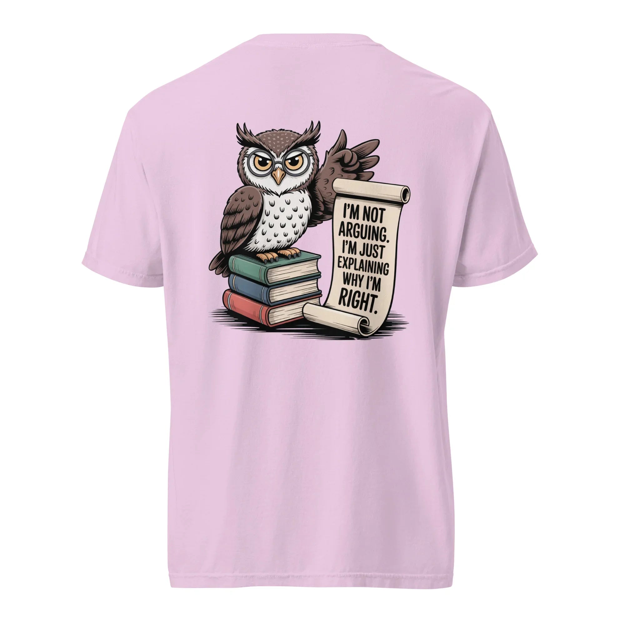 'I'm Not Arguing' Owl Tee - Briadanna